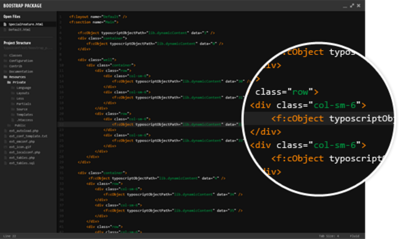 editor-shows-typo3-fluid.png